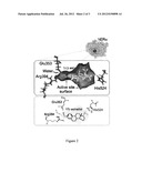 ESTROGENIC COMPOUNDS, PROCESS FOR THEIR PRODUCTION AND PHARMACEUTICAL USES     THEREOF diagram and image