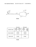 ARTICULATE AND SWAPABLE ENDOSCOPE FOR A SURGICAL ROBOT diagram and image