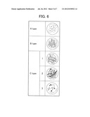 ENDOSCOPE SYSTEM diagram and image