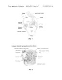 METHOD AND DEVICE FOR TREATING OSTEOARTHRITIS NONINVASIVELY diagram and image