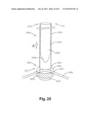 SYSTEMS AND METHODS FOR LOCALIZATION OF A PUNCTURE SITE RELATIVE TO A     MAMMALIAN TISSUE OF INTEREST diagram and image