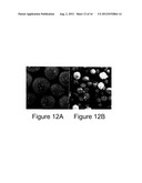 Ultra Rapid Cycle Portable Oxygen Concentrator diagram and image