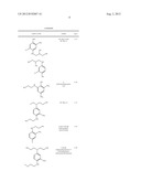 PROCESS FOR TREATING HAIR FIBERS USING POLYSILOXANE/POLYUREA diagram and image