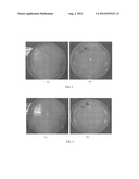 PREPARATION METHOD OF ANTI-BACTERIAL COATING ON PLASTIC SURFACE diagram and image