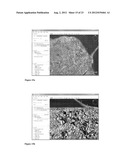 ADVANCED TOUCH CONTROL OF INTERACTIVE MAP VIEWING VIA FINGER ANGLE USING A     HIGH DIMENSIONAL TOUCHPAD (HDTP) TOUCH USER INTERFACE diagram and image