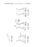 IMAGE DIAGNOSIS APPARATUS diagram and image