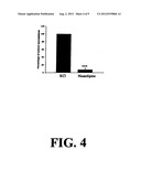 LATENT NEURAL STEM CELL POPULATION diagram and image