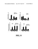 LATENT NEURAL STEM CELL POPULATION diagram and image