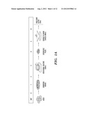 BIOMECHANICAL INDUCTION OF  HEMATOPOIESIS diagram and image