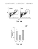 BIOMECHANICAL INDUCTION OF  HEMATOPOIESIS diagram and image