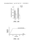 BIOMECHANICAL INDUCTION OF  HEMATOPOIESIS diagram and image