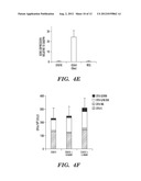 BIOMECHANICAL INDUCTION OF  HEMATOPOIESIS diagram and image