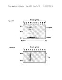  LIPOPARTICLE COMPRISING A PROTEIN AND METHODS OF MAKING AND USING THE     SAME diagram and image