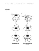  LIPOPARTICLE COMPRISING A PROTEIN AND METHODS OF MAKING AND USING THE     SAME diagram and image