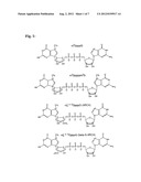 Vaccine Composition Comprising 5 -CAP Modified RNA diagram and image