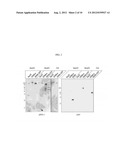 GM-NEGATIVE EHV-MUTANTS WITHOUT HETEROLOGOUS ELEMENTS diagram and image