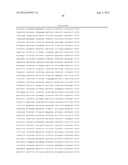 GM-NEGATIVE EHV-MUTANTS WITHOUT HETEROLOGOUS ELEMENTS diagram and image