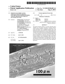 POSITIVE ELECTRODE ACTIVE SUBSTANCE FOR NON-AQUEOUS ELECTROLYTE SECONDARY     BATTERIES, AND NON-AQUEOUS ELECTROLYTE SECONDARY BATTERY diagram and image