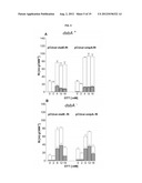 PROTEIN PRODUCTION diagram and image