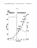 PROTEIN PRODUCTION diagram and image