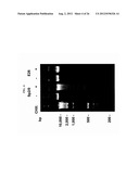 Mammalian Cell Lines for Increasing Longevity and Protein Yield from a     Cell Culture diagram and image