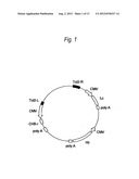 PROCESS FOR PRODUCTION OF PROTEIN diagram and image