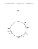 PROCESS FOR PRODUCTION OF PROTEIN diagram and image