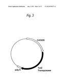 PROCESS FOR PRODUCTION OF PROTEIN diagram and image