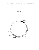 PROCESS FOR PRODUCTION OF PROTEIN diagram and image