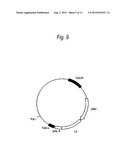 PROCESS FOR PRODUCTION OF PROTEIN diagram and image