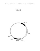 PROCESS FOR PRODUCTION OF PROTEIN diagram and image