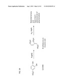 PRODUCTION OF INDUSTRIALLY RELEVANT COMPOUNDS IN PROKARYOTIC ORGANISMS diagram and image