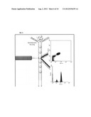 PRODUCTION OF INDUSTRIALLY RELEVANT COMPOUNDS IN PROKARYOTIC ORGANISMS diagram and image