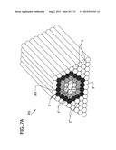 SELF-ASSEMBLING MULTICELLULAR BODIES AND METHODS OF PRODUCING A     THREE-DIMENSIONAL BIOLOGICAL STRUCTURE USING THE SAME diagram and image