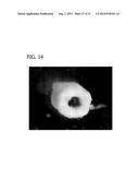 SELF-ASSEMBLING MULTICELLULAR BODIES AND METHODS OF PRODUCING A     THREE-DIMENSIONAL BIOLOGICAL STRUCTURE USING THE SAME diagram and image