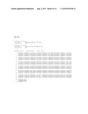 BACTERIUM THAT CAN PERFORM COMPLETE DECHLORINATION OF TRICHLOROETHENE AND     THE METHOD TO DECHLORINATE SOILS OR GROUND WATER CONTAMINATED WITH     TRICHLOROETHENE USING THE BACTERIUM diagram and image