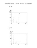 BACTERIUM THAT CAN PERFORM COMPLETE DECHLORINATION OF TRICHLOROETHENE AND     THE METHOD TO DECHLORINATE SOILS OR GROUND WATER CONTAMINATED WITH     TRICHLOROETHENE USING THE BACTERIUM diagram and image