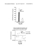 POLY-N-ACETYL GLUCOSAMINE (PNAG/dPNAG)-BINDING PEPTIDES AND METHODS OF USE     THEREOF diagram and image