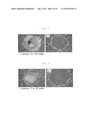 METHOD OF EFFICIENTLY ESTABLISHING INDUCED PLURIPOTENT STEM CELLS diagram and image