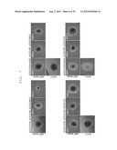 METHOD OF EFFICIENTLY ESTABLISHING INDUCED PLURIPOTENT STEM CELLS diagram and image