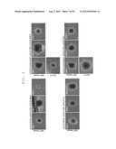 METHOD OF EFFICIENTLY ESTABLISHING INDUCED PLURIPOTENT STEM CELLS diagram and image