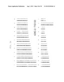 METHOD OF EFFICIENTLY ESTABLISHING INDUCED PLURIPOTENT STEM CELLS diagram and image