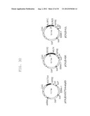 METHOD OF EFFICIENTLY ESTABLISHING INDUCED PLURIPOTENT STEM CELLS diagram and image