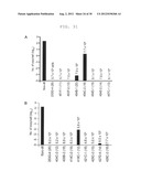 METHOD OF EFFICIENTLY ESTABLISHING INDUCED PLURIPOTENT STEM CELLS diagram and image