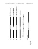 METHODS AND COMPOSITIONS FOR TARGETED GENOMIC DELETION diagram and image