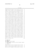 MULTI PLASMIDS SYSTEM FOR THE PRODUCTION OF INFLUENZA VIRUS diagram and image