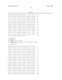 MULTI PLASMIDS SYSTEM FOR THE PRODUCTION OF INFLUENZA VIRUS diagram and image