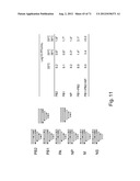 MULTI PLASMIDS SYSTEM FOR THE PRODUCTION OF INFLUENZA VIRUS diagram and image