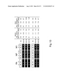 MULTI PLASMIDS SYSTEM FOR THE PRODUCTION OF INFLUENZA VIRUS diagram and image