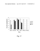 MULTI PLASMIDS SYSTEM FOR THE PRODUCTION OF INFLUENZA VIRUS diagram and image